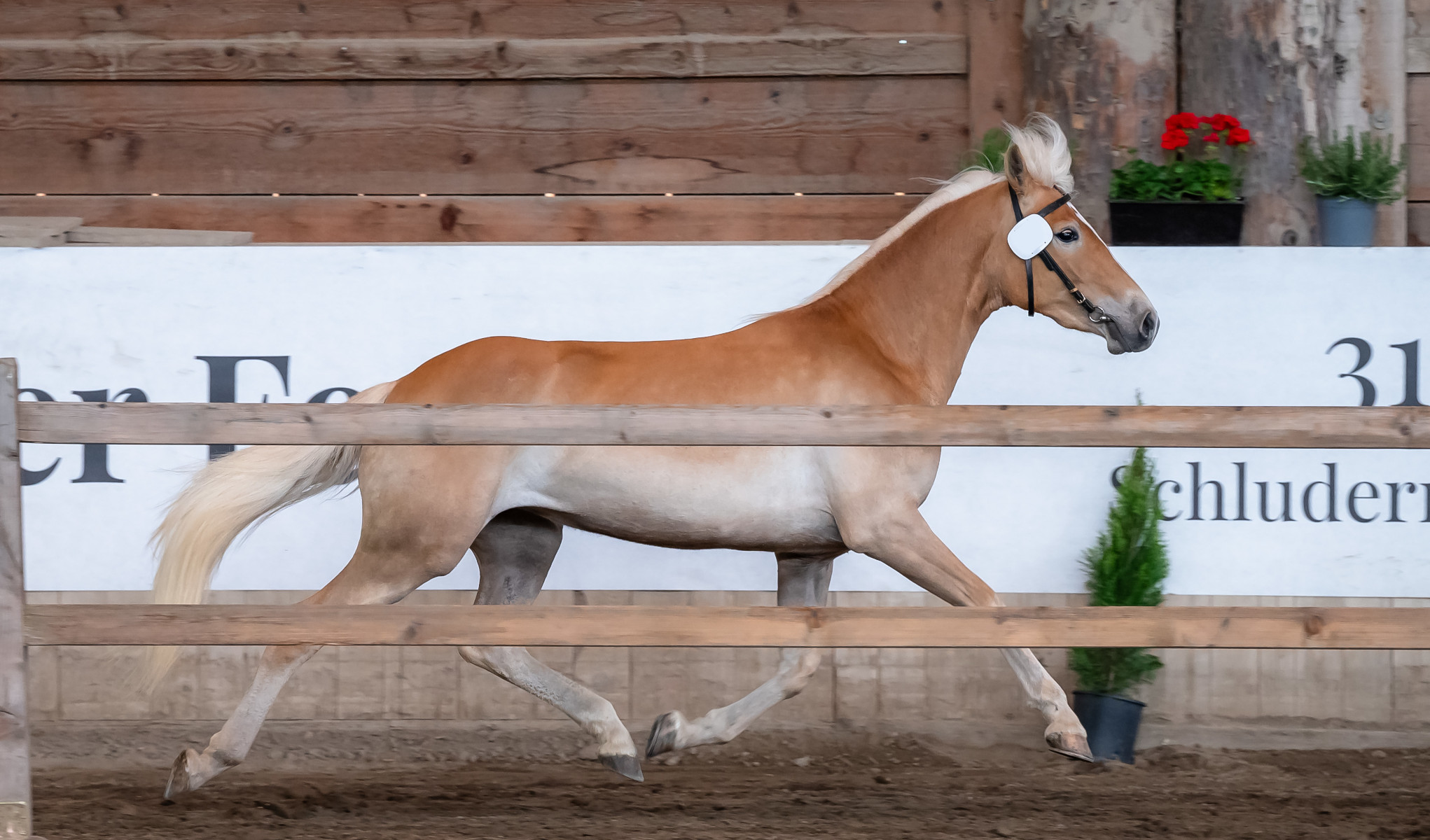 Emeli v. Kehrer BZ30826