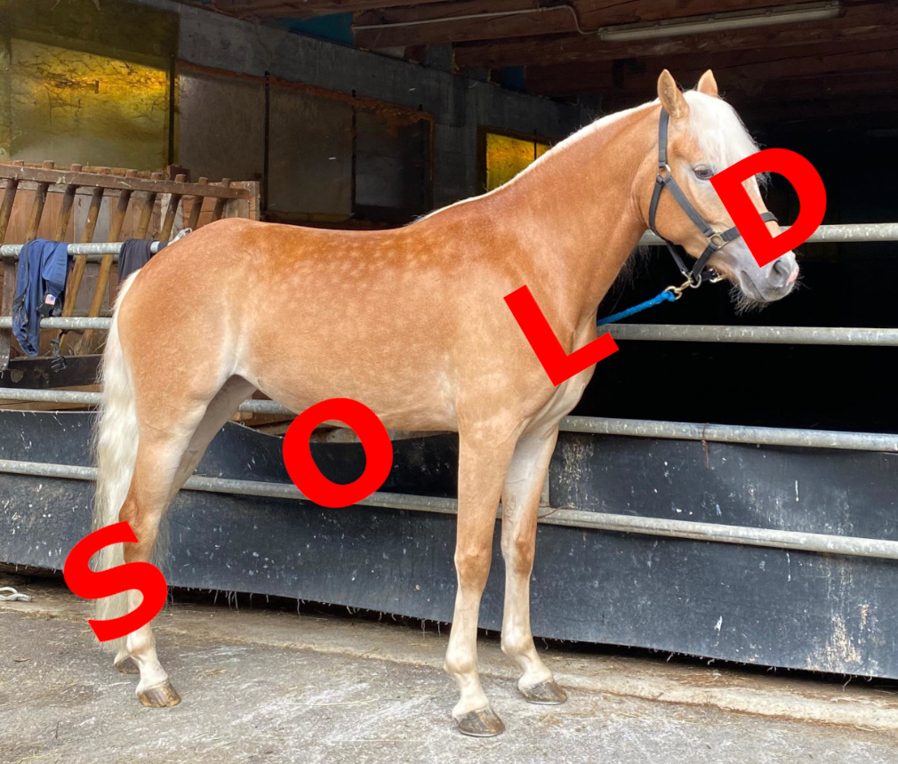 Fiesta sold