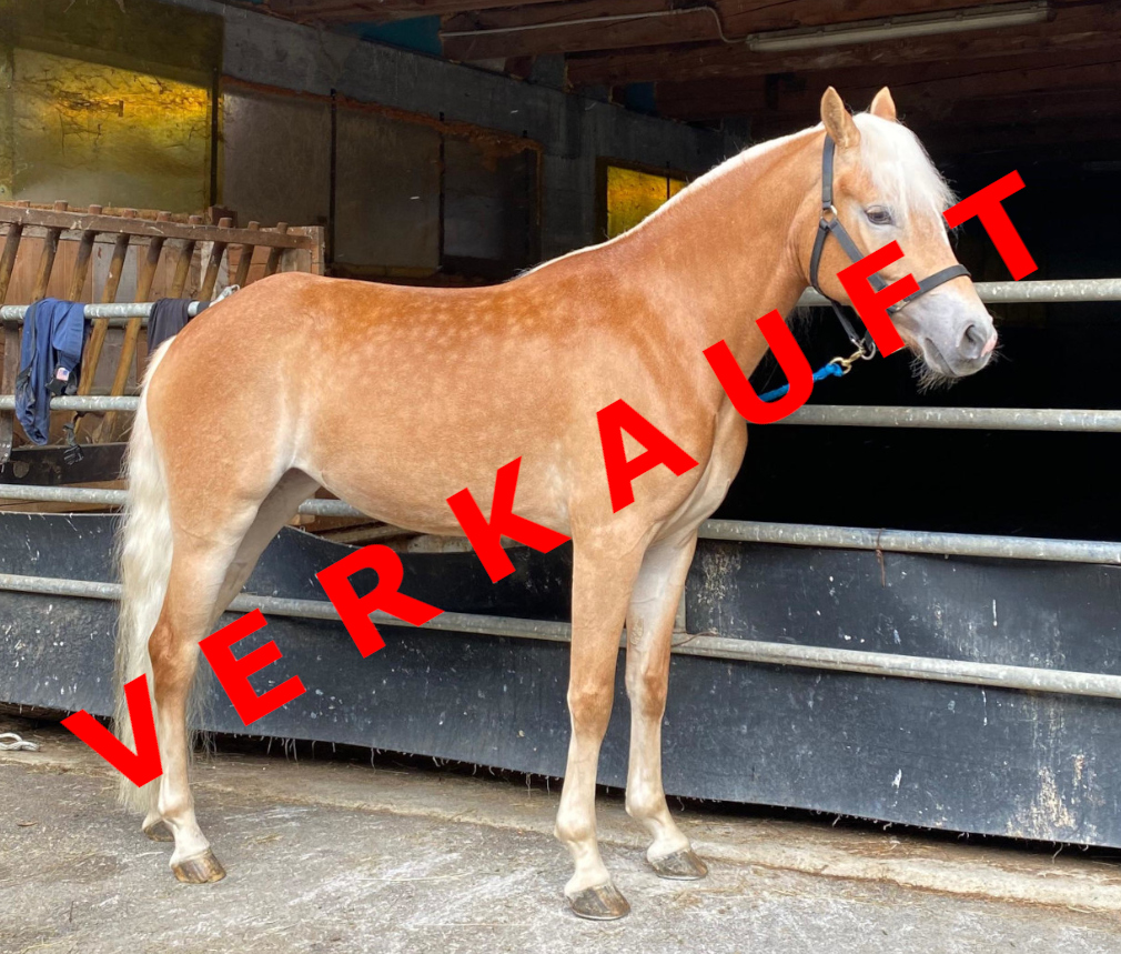 Fiesta verkauft