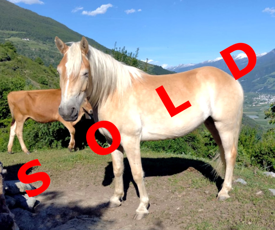 Finni sold