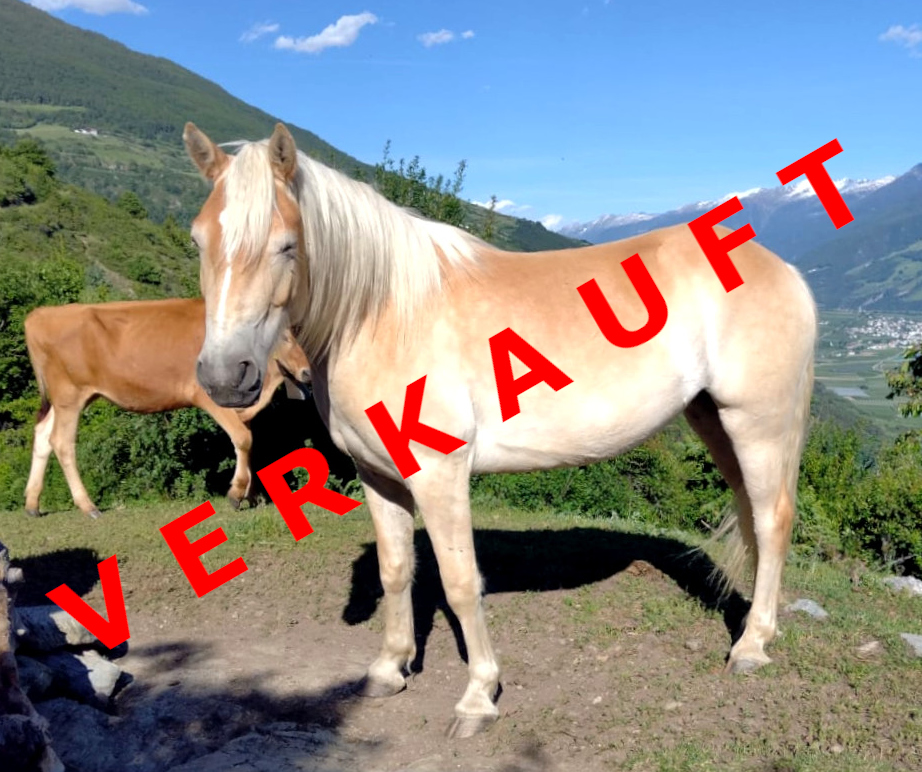 Finni verkauft