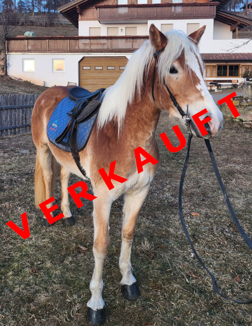 Gaia verkauft