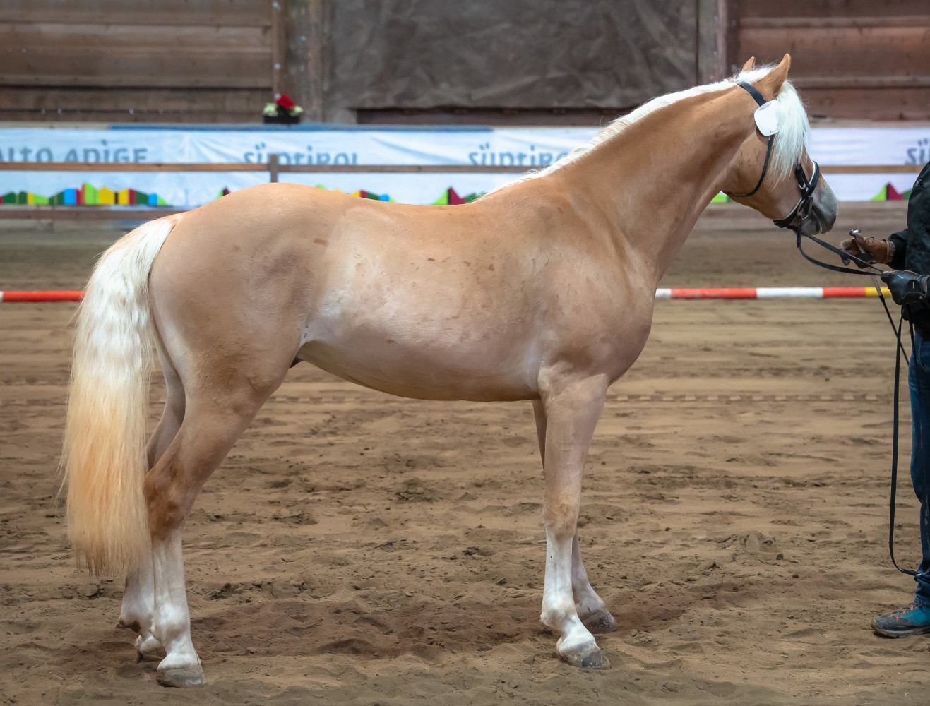 Martinus-G-F BZ31330