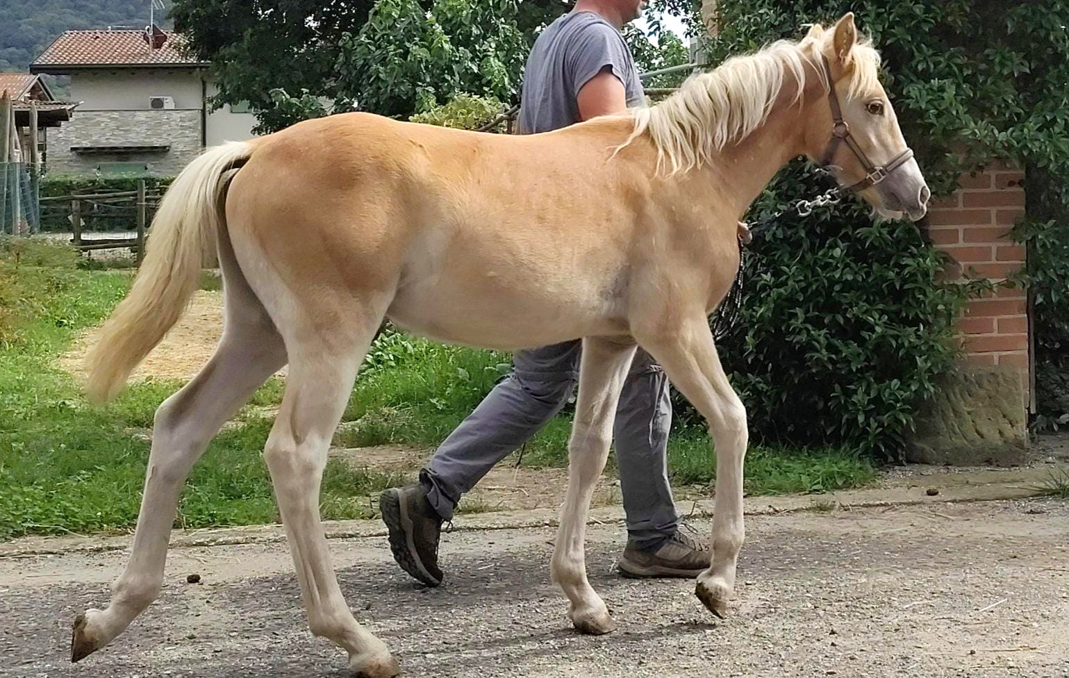 ST - Light my Fire BG11892