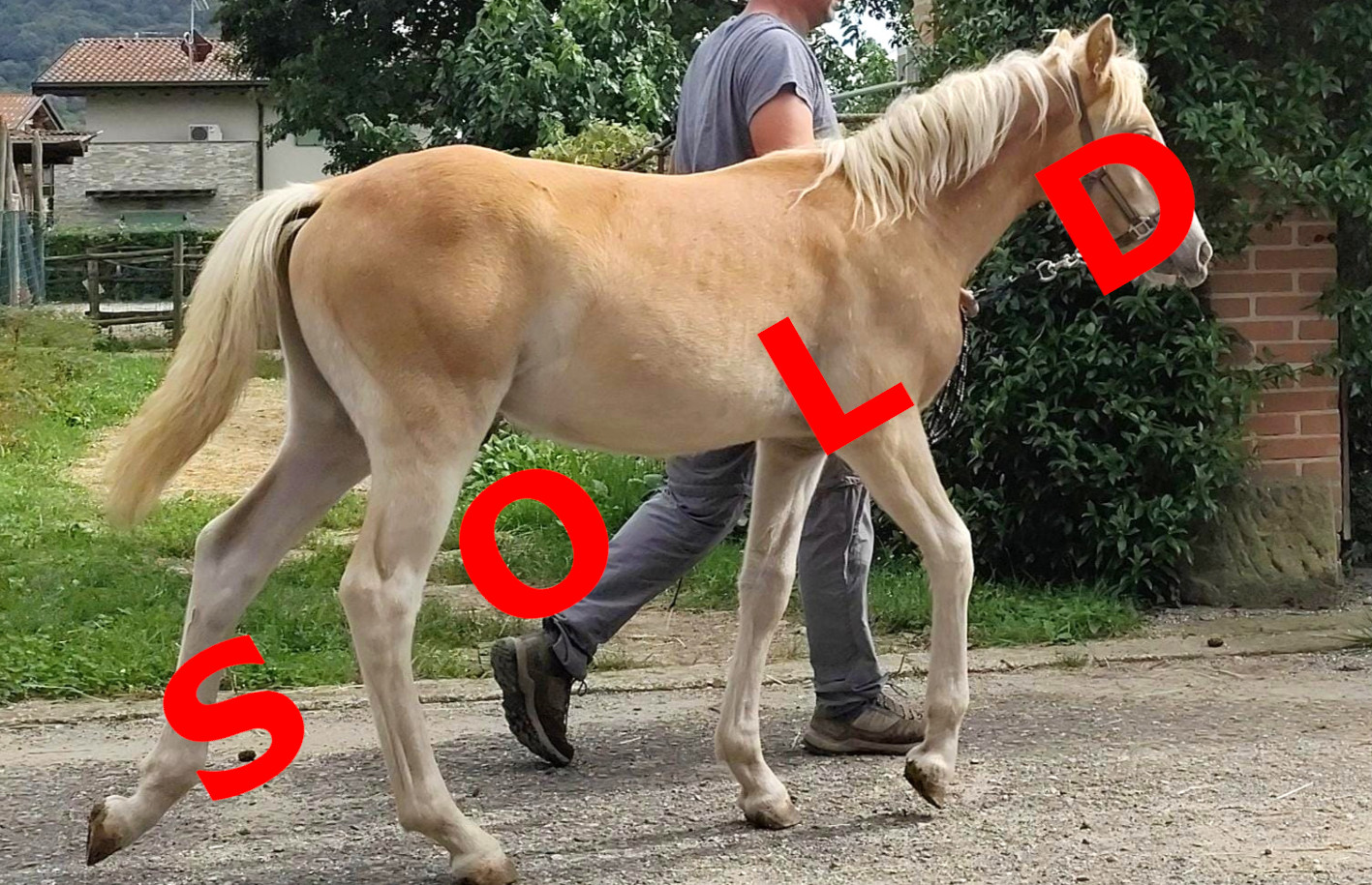 ST - Light my Fire sold