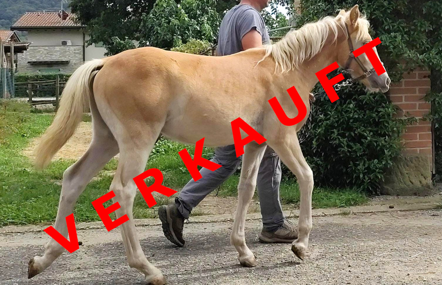 ST - Light my Fire verkauft