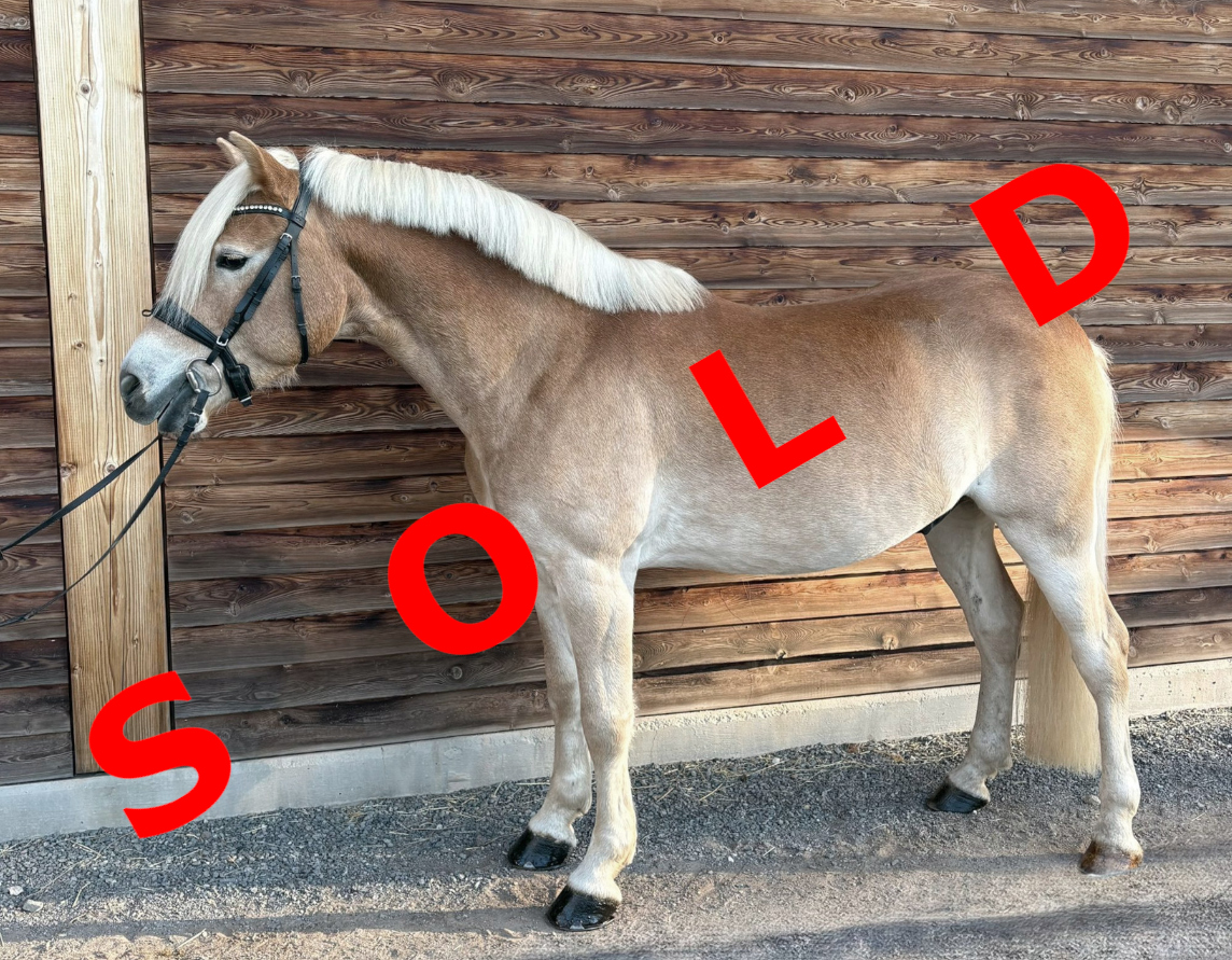 William-B sold