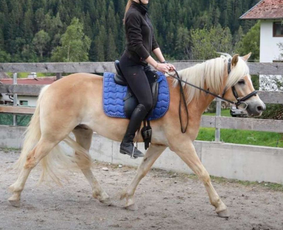 Wirbelwind AW-F BZ31191