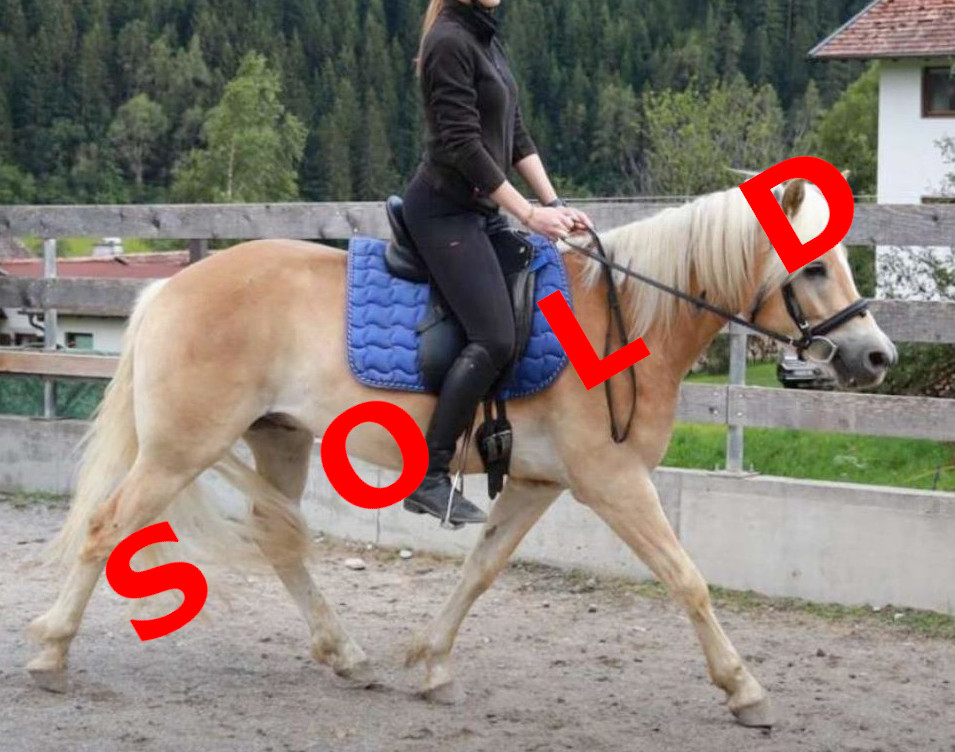 Wirbelwind AW-F sold