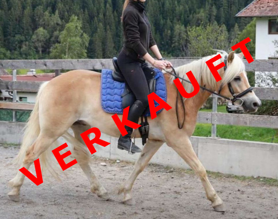 Wirbelwind AW-F verkauft