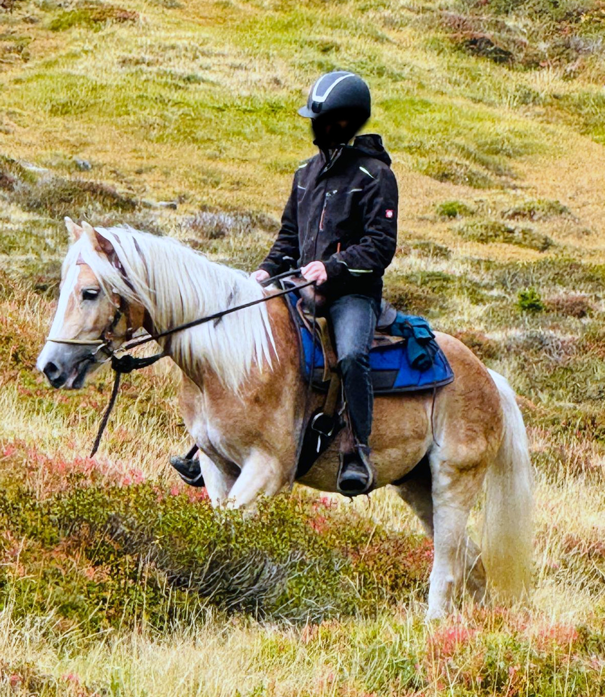 Wonderstar-F BZ31074