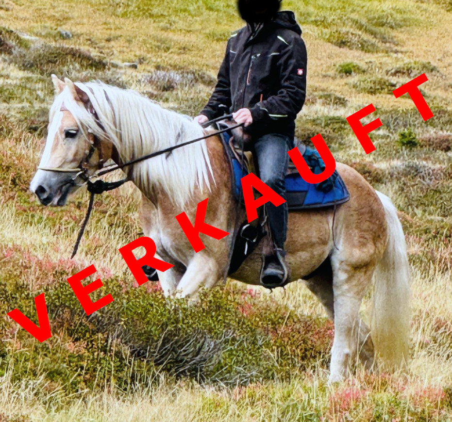 Wonderstar-F verkauft