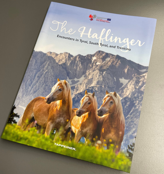 Haflinger book