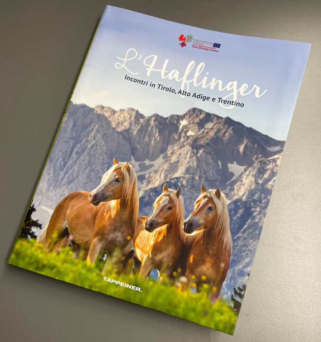 Libro Haflinger