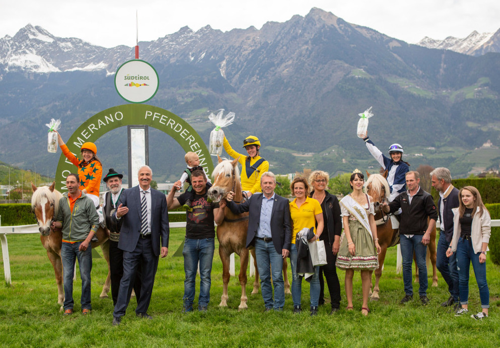 Haflinger-Hengstkörung 2020