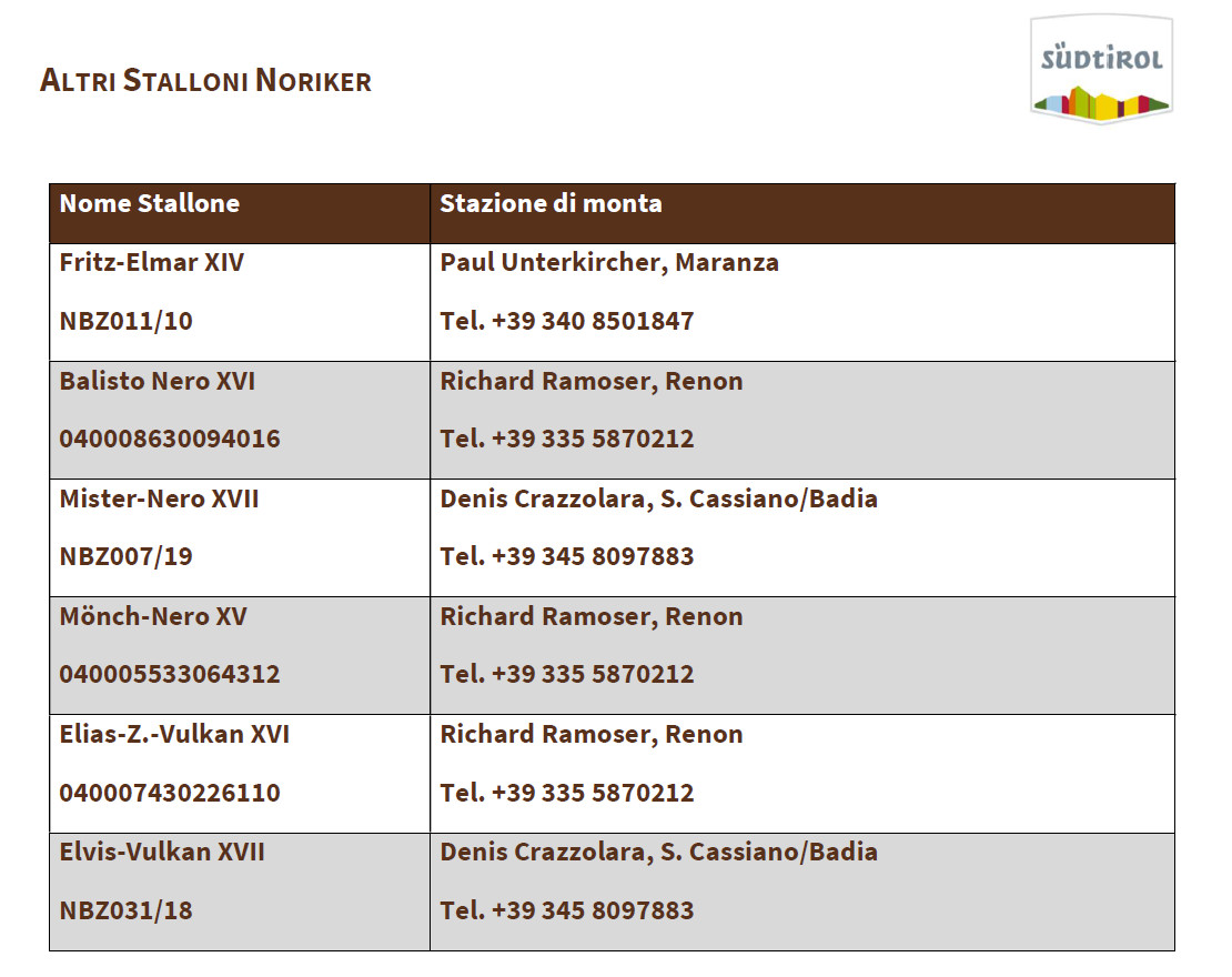 Altri stalloni Noriker