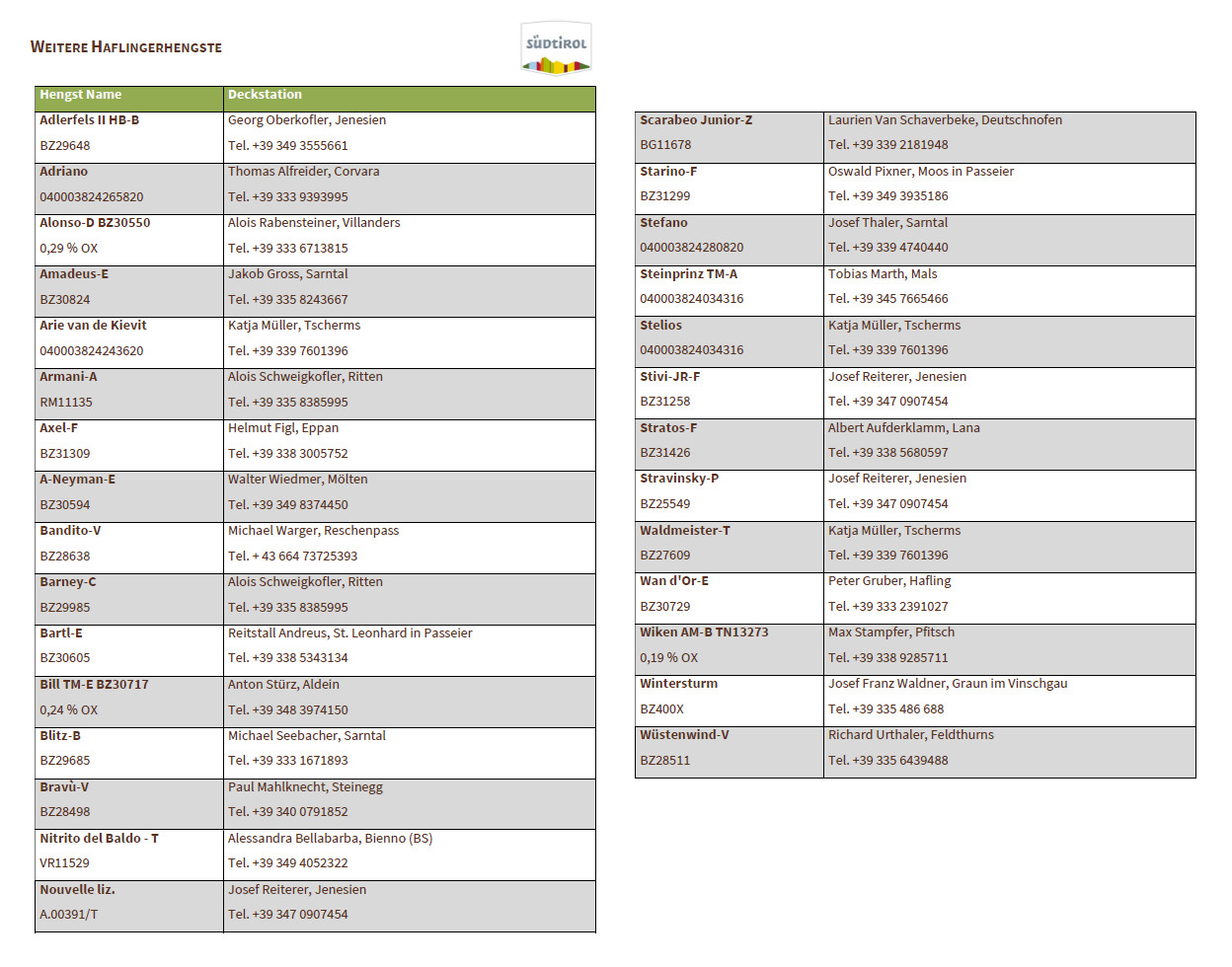 Weitere Haflingerhengste