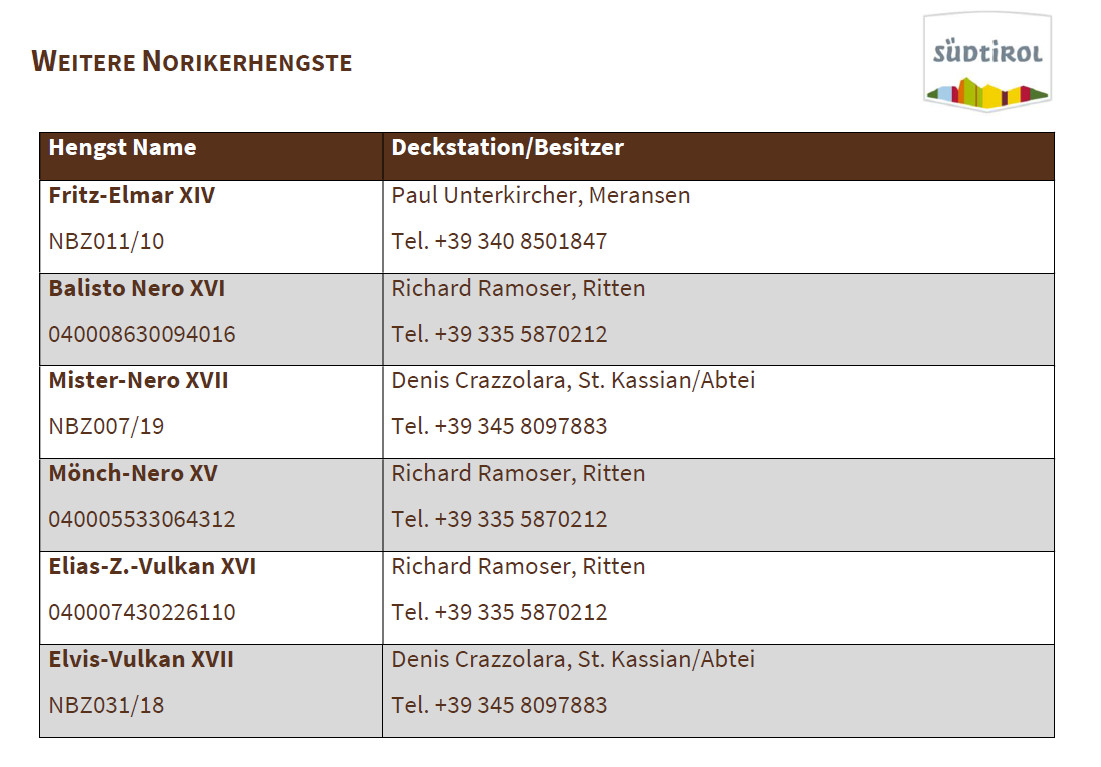 Weitere Norikerhengste