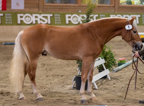 Sturmwind 040003823940515