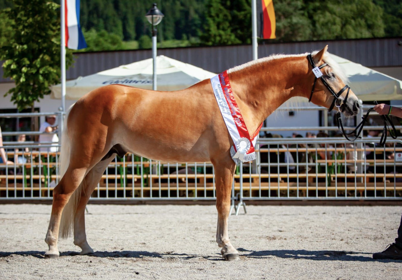 Michel 276473730006022