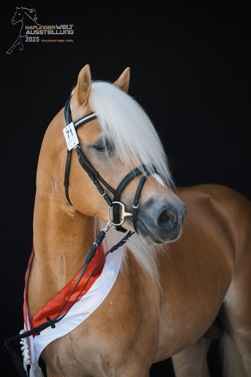 Michel 276473730006022