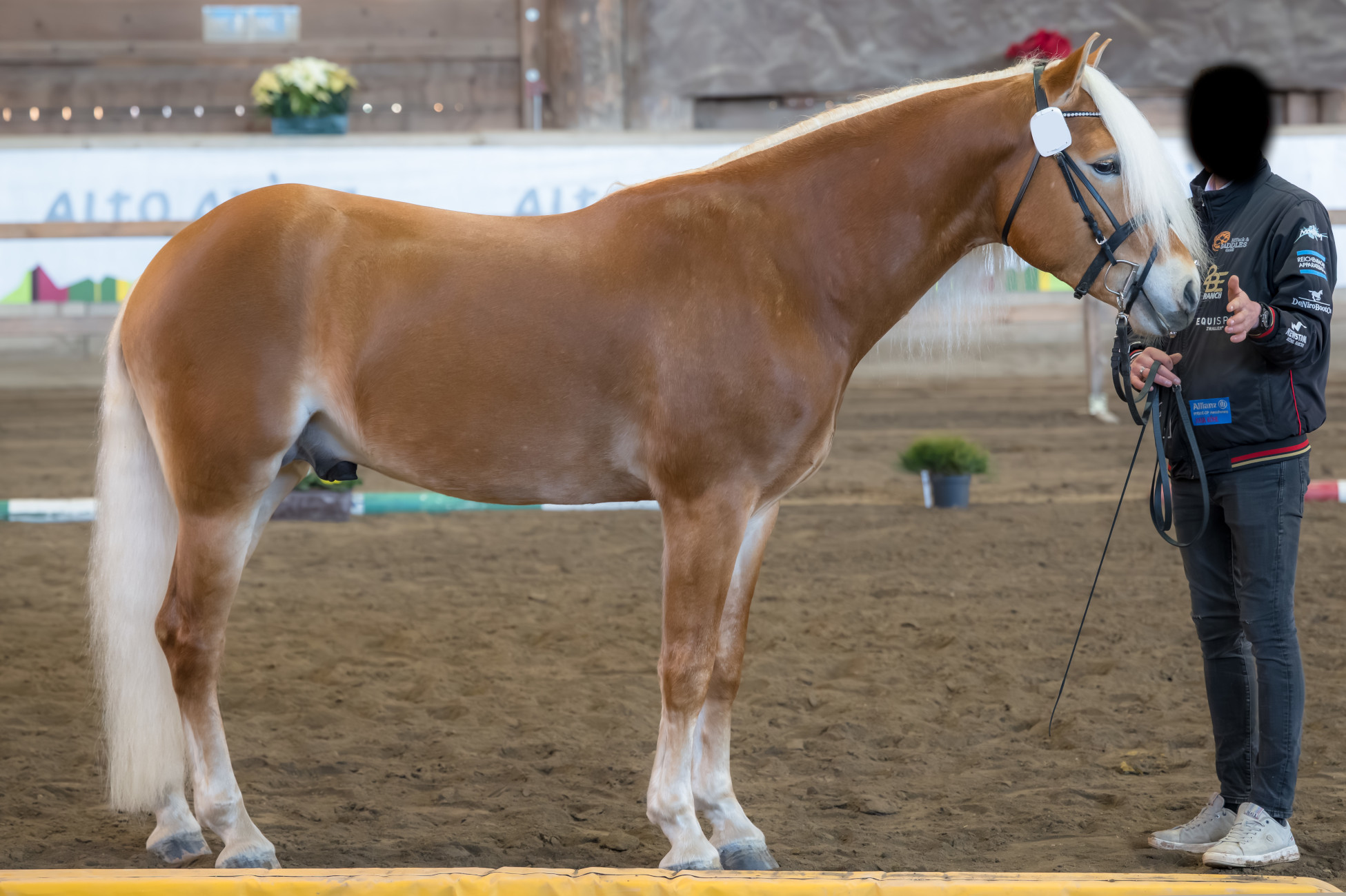 Michel 276473730006022