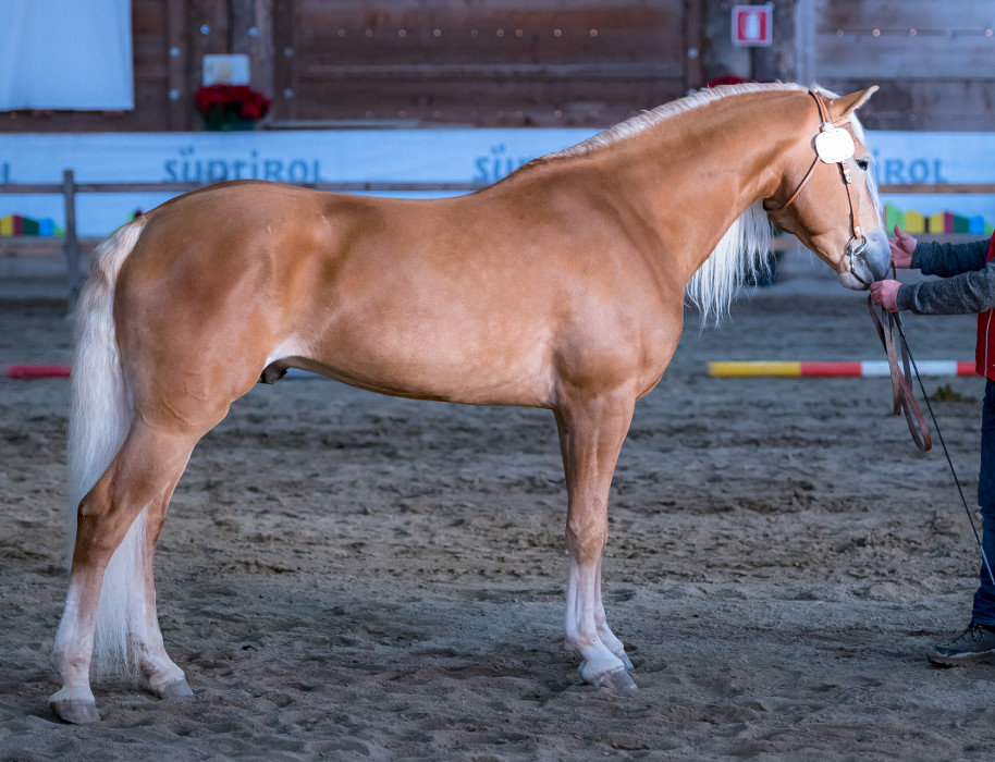 Neustart 276455870061516