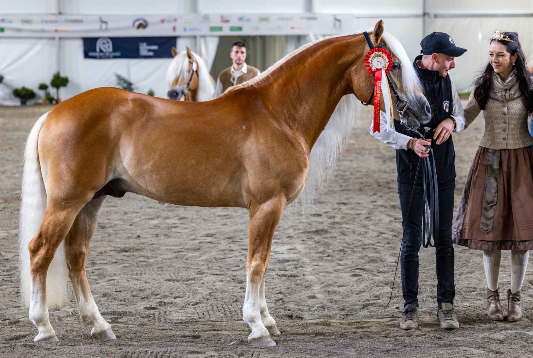 Nitrito del Baldo - T VR11529