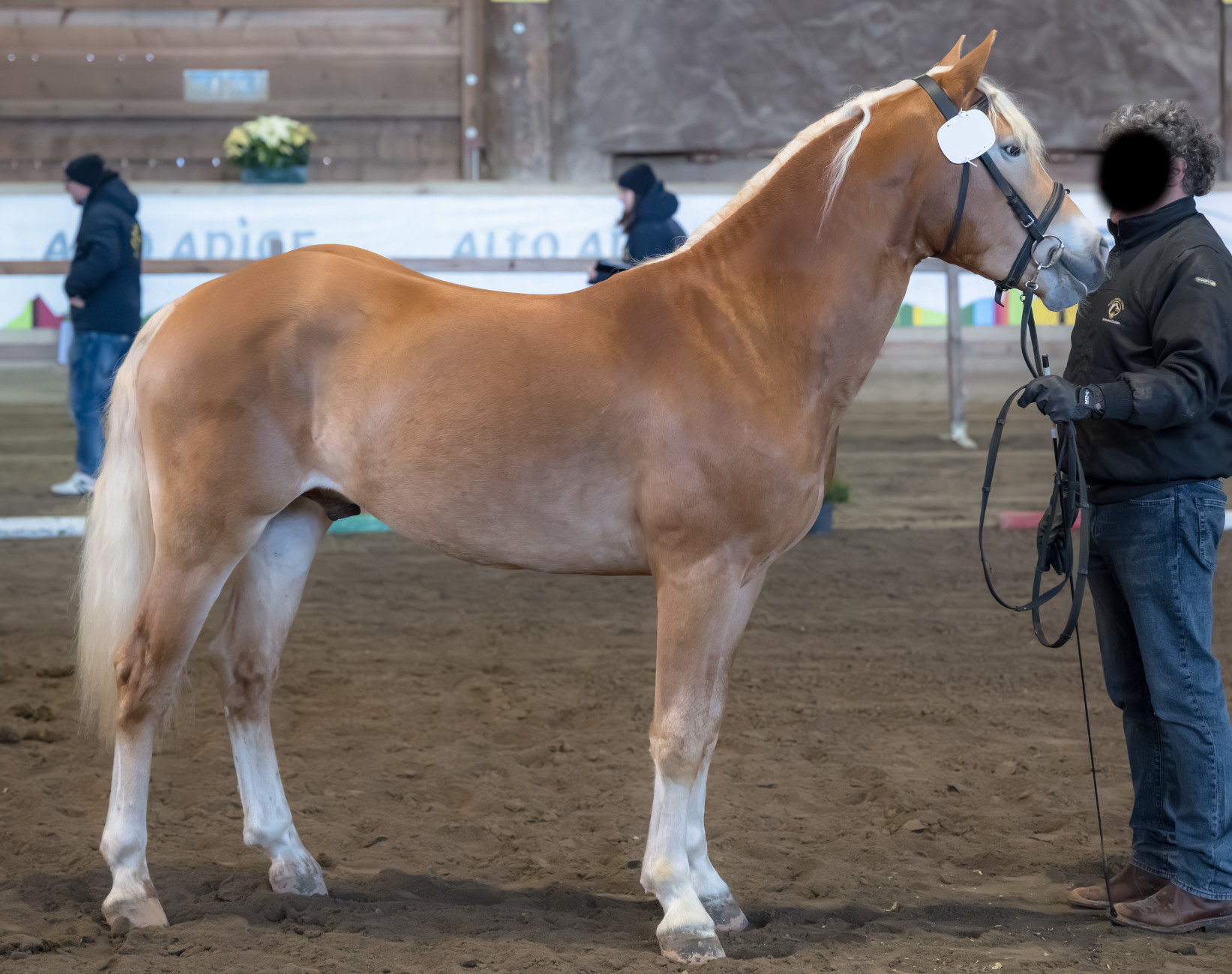 Schachinger-G-G BZ31892